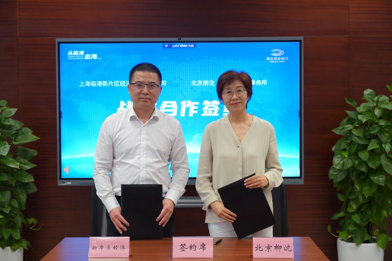 从临港出海·跨境投资与知识产权实务沙龙（第一期）海外布局篇成功举办